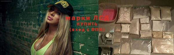 ГАЛЛЮЦИНОГЕННЫЕ ГРИБЫ Баксан
