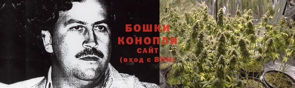 ГАЛЛЮЦИНОГЕННЫЕ ГРИБЫ Баксан