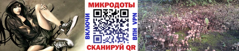 Галлюциногенные грибы ЛСД Озёры